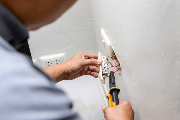 Best Licensed Electrician  in Meadowbrook, VA