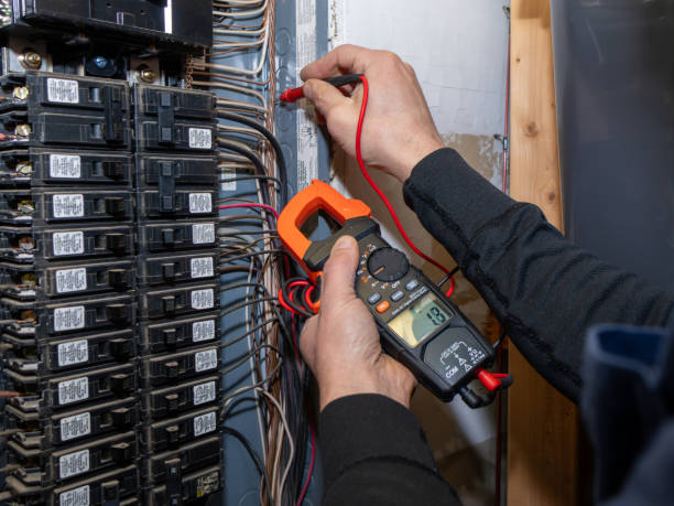 Best Electric Panel Repair  in Meadowbrook, VA